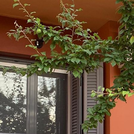 Lefkas Apartment Kalligoni Экстерьер фото